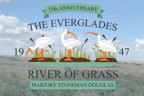 Everglades Logo